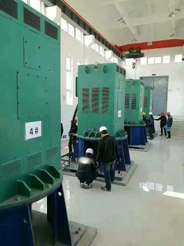 Y7109-16某污水处理厂使用我厂的立式高压电机安装现场生产厂家