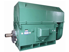 Y7109-16YKK系列高压电机